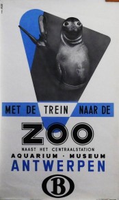 Zoo Anvers_1.jpg